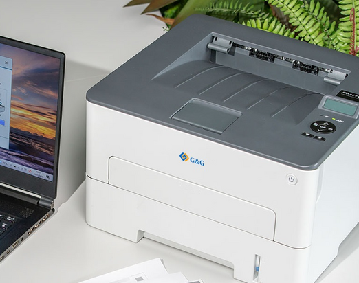 G&G P4100DW Single functionele laserprinter